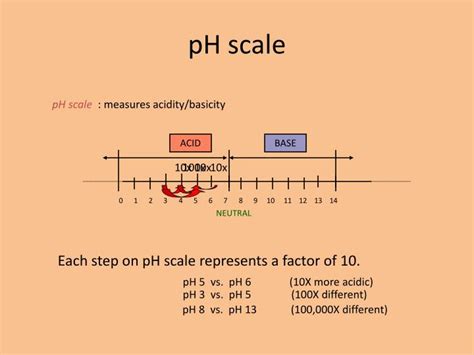 PPT - D. pH- stands for the negative log of the H+ ion concentration ...