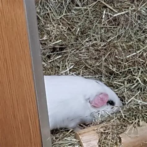 Sharon Stone Softcore Sex Mega Collection XHamster