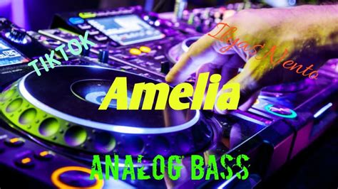 Dj Amelia Tiktok Analog Bass Youtube