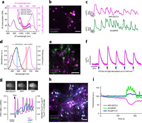 Spectral Multiplexing Of Nir Geco With Optogenetic Indicators And