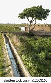 121 Euphrates River Dry Stock Photos, Images & Photography | Shutterstock