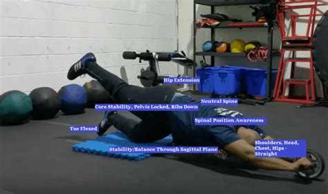 Top 5 Advanced Abdominal Rollout Exercise Variations - Strength Zone ...