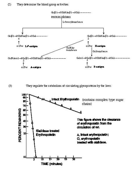 Li Lecture 3