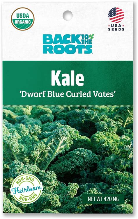 Back To The Roots 100 Organic Seed Packet Kale Dwarf