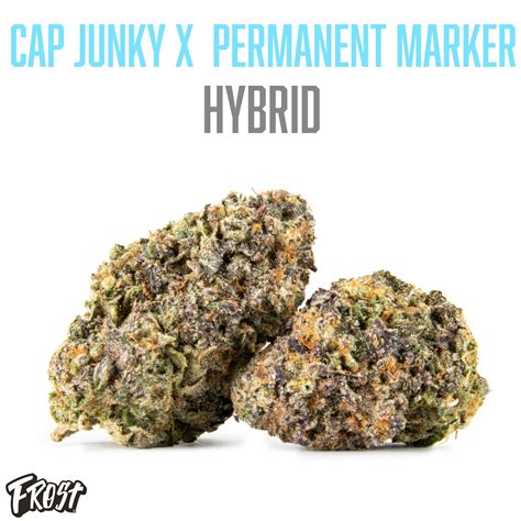 Cap Junky X Permanent Marker 32 Thc Hybrid Frost