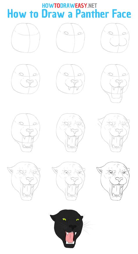 How to draw a panther face – Artofit