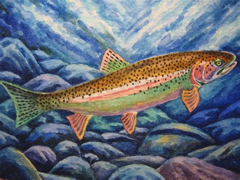 Freshwater Fish Watercolor