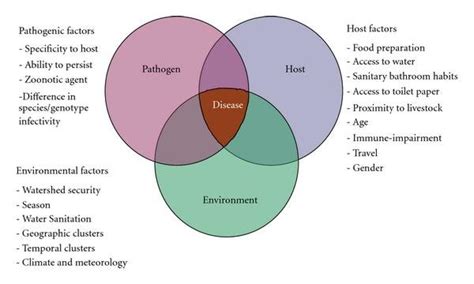 Venn Diagram Of Factors Leading To Cryptosporidium Infection Parasite Download Scientific