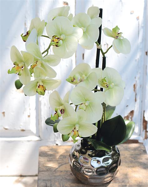 Künstliche Orchidee Phalaenopsis 2 fach getopft 45 cm Real Touch