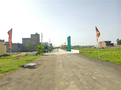 Residential Plot 88 Sq Yards For Sale In Sector 10 Mohali REI821265