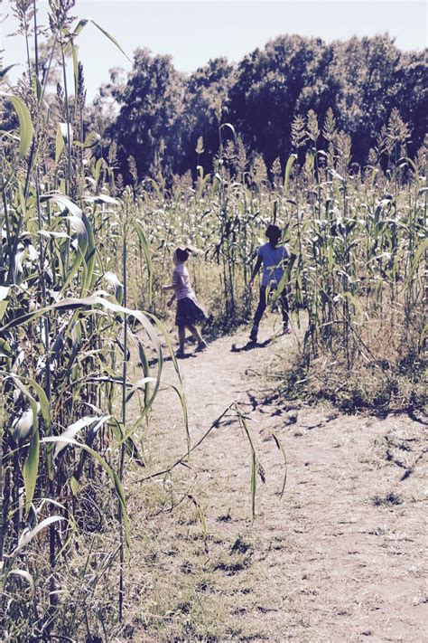 Beyond the Cornfields: Fox Squirrel Farm, Florida