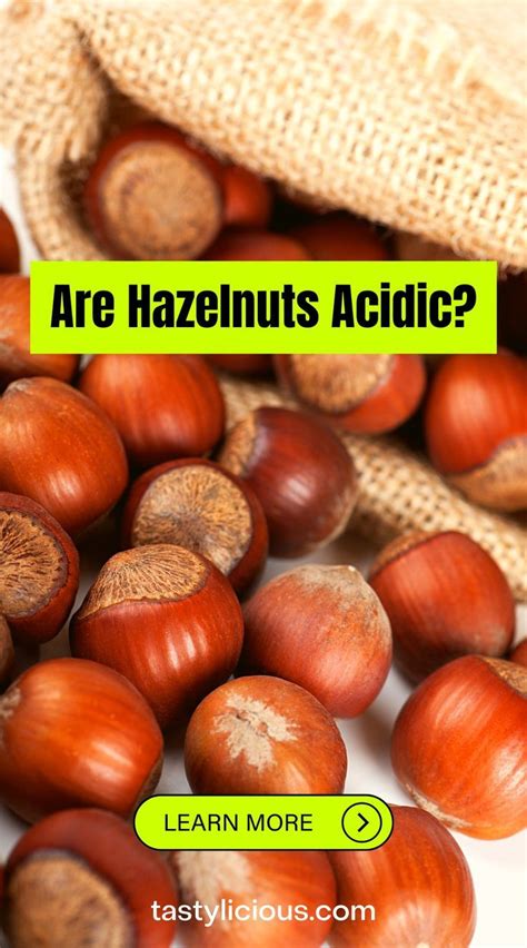 Are Hazelnuts Acidic How Many Can You Eat Tastylicious Acid