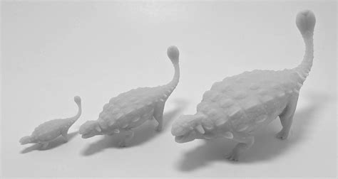 Ankylosaurus Magniventris Multiple Scale Sizes Etsy