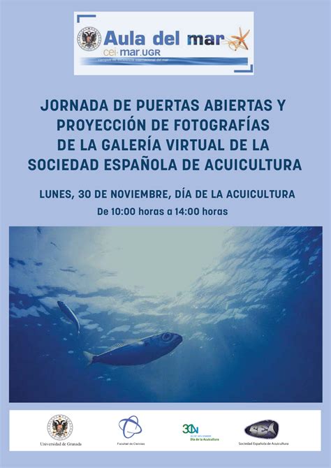 Jornada De Puertas Abiertas Y Proyecci N De Fotograf As De La Galer A