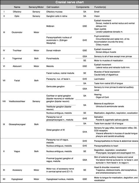 Cranial nerve chart - NeuroPetVet