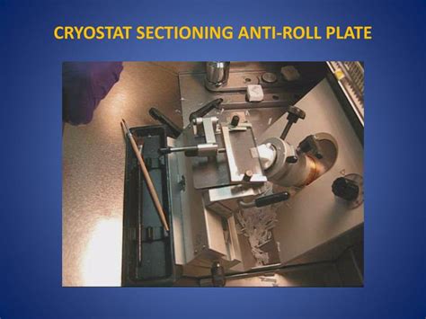 PPT TISSUE FREEZING METHODS FOR CRYOSTAT SECTIONING PowerPoint