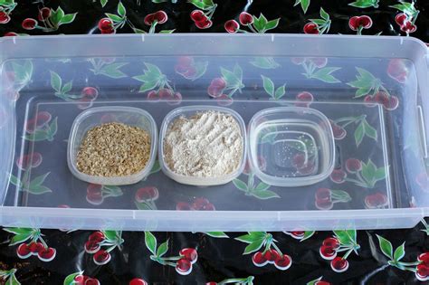 Super Easy Sensory Play Oatmeal Textures Sensory Bin Kids Sensory