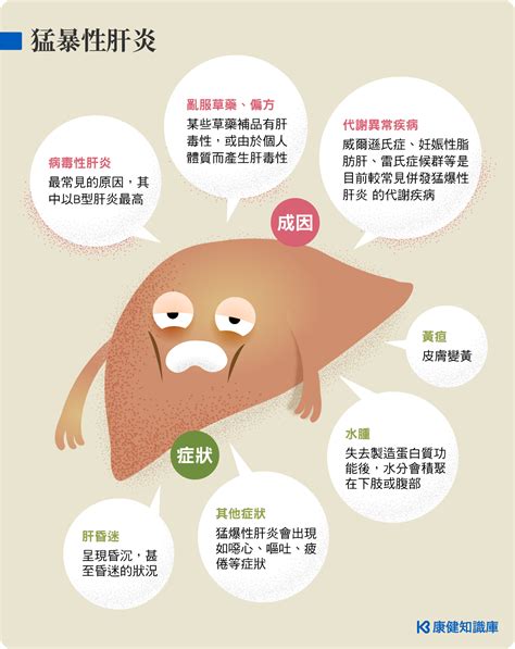 猛爆性肝炎 康健知識庫