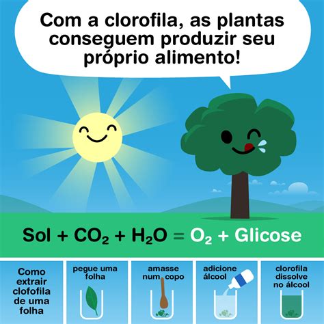 São Seres Vivos Capazes De Produzir Seu Próprio Alimento