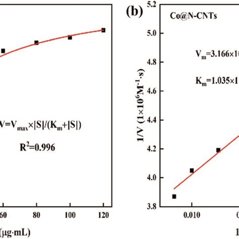 Steady State Kinetic Analysis Of The Co N Cnts Catalyst A