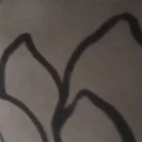 Paki GF First Time Free Xnxc HD Porn Video 1c XHamster XHamster