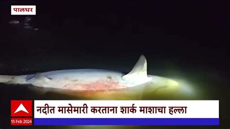 Palghar Shark On Man वैतरणा नदीत तरुणाच्या पायाचे शार्कने लचके तोडले