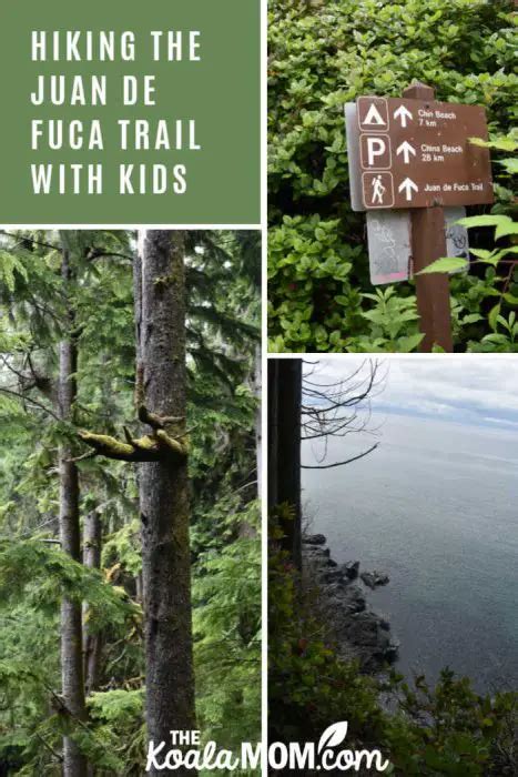 Hiking the Juan de Fuca Trail with kids • The Koala Mom