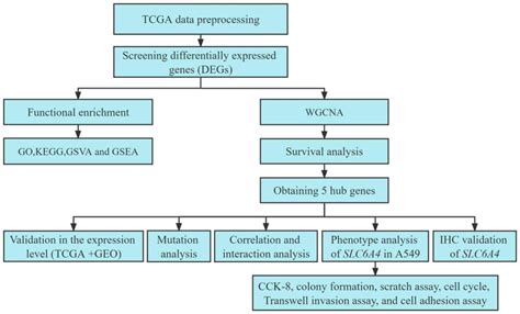 Identification Of Potential Prognostic Markers For Lung Adenocarcinoma