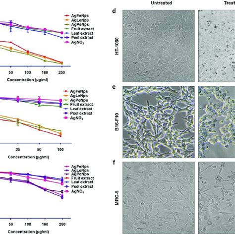 In Vitro Cell Cytotoxicity Assays Cell Cytotoxicity Observed After