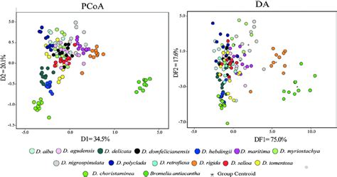 Two Dimensional Scatter Plots Obtained From Morphological Character