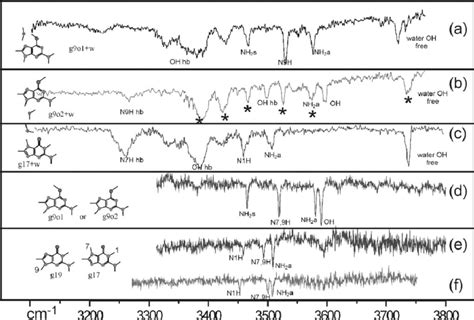 Ir Uv Double Resonance Spectra Of Guanine Monohydrate A C And