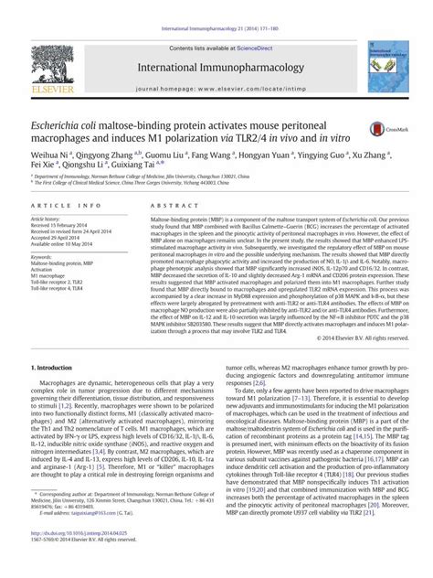 Pdf Escherichia Coli Maltose Binding Protein Activates Mouse