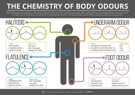 What Causes Body Odor and Why Some People Get It Worse Than Others ...