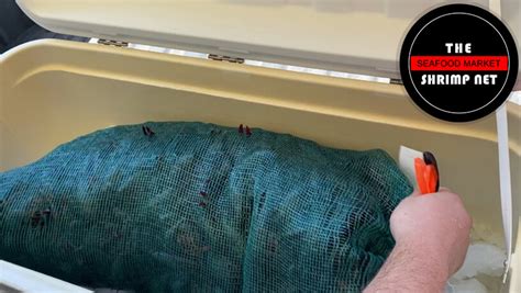 how to clean live crawfish
