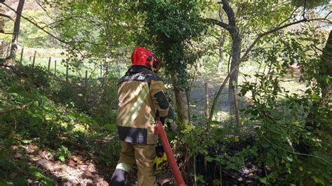 Fiamme Domate In Una Zona Boschiva Ad Arogno