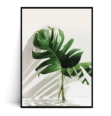 Fox Art Studio Plakat Monstera W Wazonie Wymiary X Cm Fox