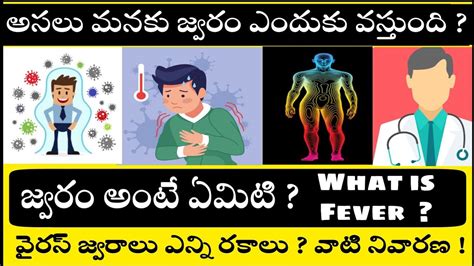 How And Why Do We Get Fever What Are The Types Of Fevers Explained In Telugu By Telugu Shine