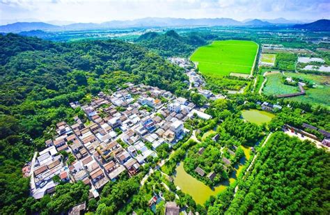 农旅融合文旅融合 斗门区创新推进全国乡村振兴示范区建设