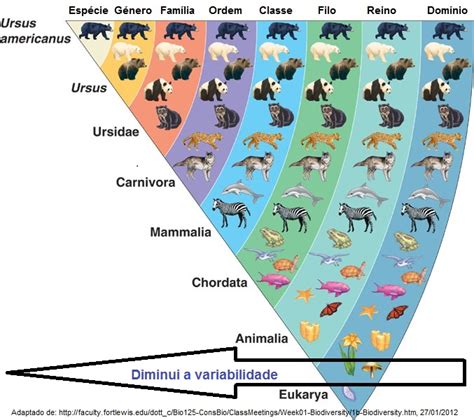 Terraconvida Biologia Ii Sistemática Dos Seres Vivos