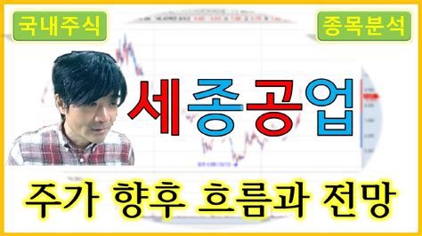 세종공업 주가의 향후 흐름과 전망 Youtube