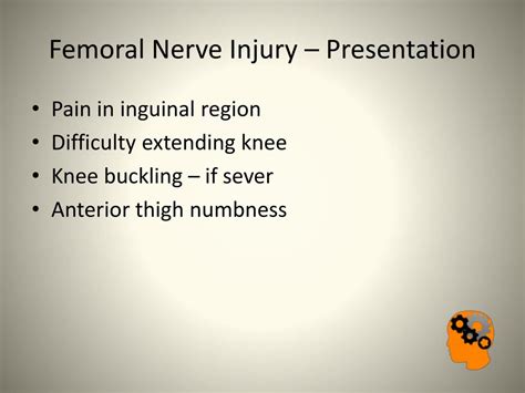 Ppt Nerve Injuries In The Lower Limb Powerpoint Presentation Free