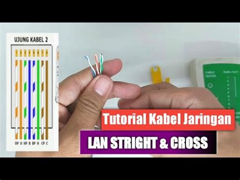 Tutorial Memasang RJ45 Kabel LAN Kabel UTP Yang Benar Dan Rapih Untuk