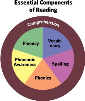 Five Components Of Reading Read Naturally Inc