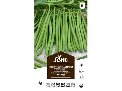 Haricot Nain Mangetout Rugally Sachet