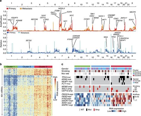 Genomic Copy Number Alterations And MRNA Expression Profiling A