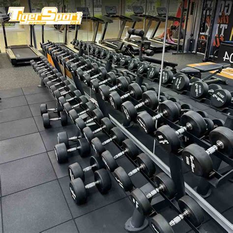 TƯ VẤn Set Up PhÒng Gym World Gym ĐỒng Nai Tigersport Vn