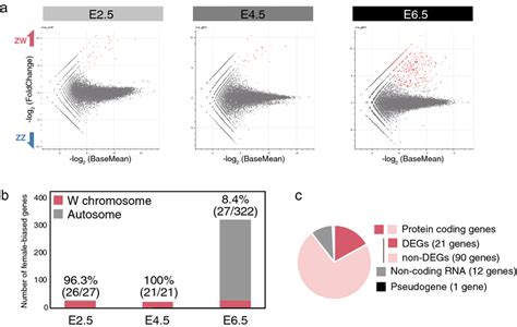 Detection And Characterization Of Sex Biased Genes During Download Scientific Diagram