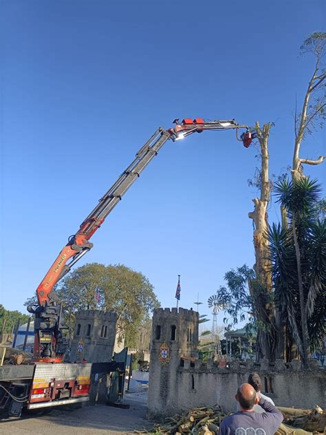 Servi Os De Jardinagem Limpeza De Terrenos Cascais E Estoril Olx