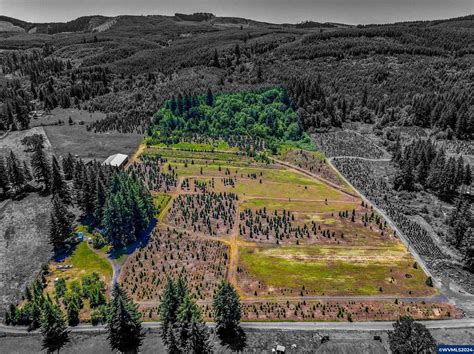 21 11 Acres Of Land For Sale In Lyons Oregon Landsearch