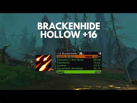 Destruction Warlock Brackenhide Hollow 16 Fortified Dragonflight